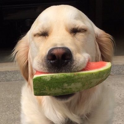 Nick's second blog post!!